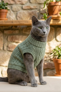 Jersey Cashemer Gato