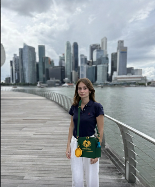 Bolso paseo